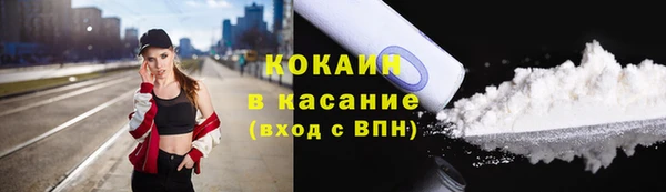 ГАЛЛЮЦИНОГЕННЫЕ ГРИБЫ Гусев