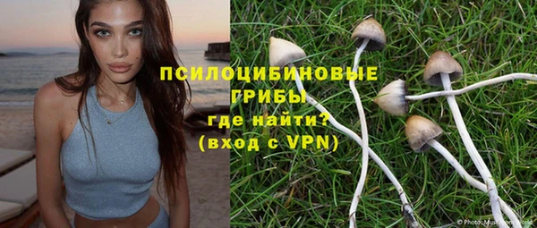 ГАЛЛЮЦИНОГЕННЫЕ ГРИБЫ Гусев