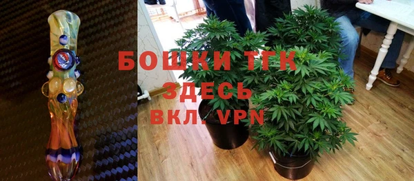 ГАЛЛЮЦИНОГЕННЫЕ ГРИБЫ Гусев