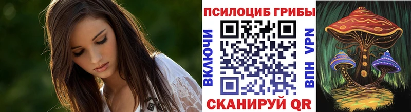 Галлюциногенные грибы Cubensis Щучье